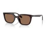 Ray-Ban RB4439D-6231/73(54)