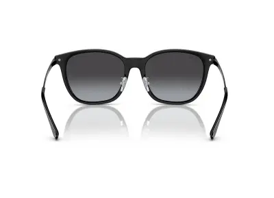 Kính mát Ray-Ban RB4333D-601/8G(55)