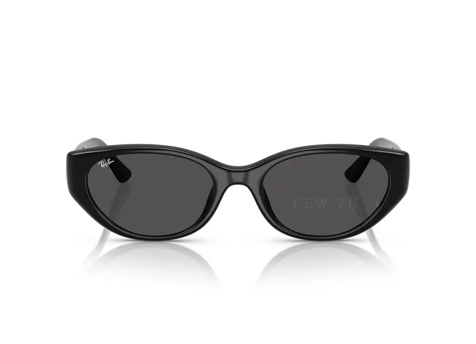 Ray-Ban RB4457D-6677/87(55)