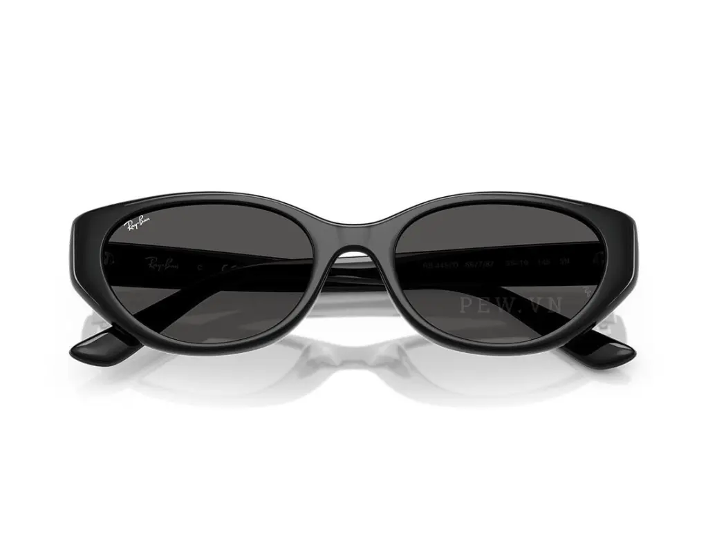 Ray-Ban RB4457D-6677/87(55)