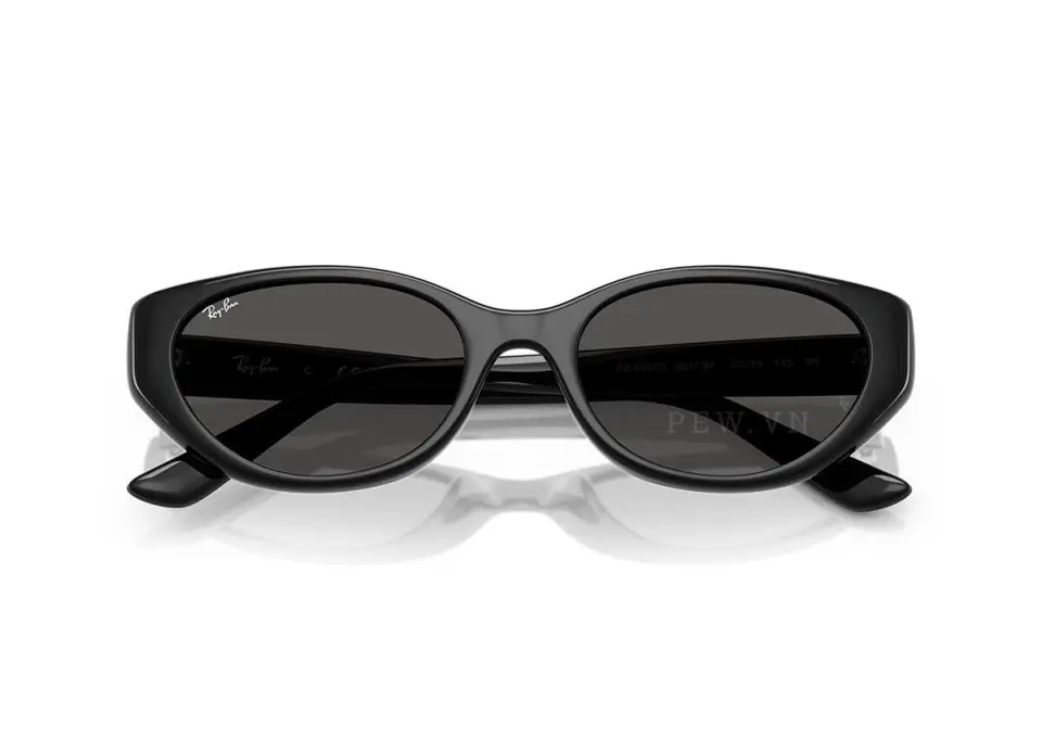 Ray-Ban RB4457D-6677/87(55)