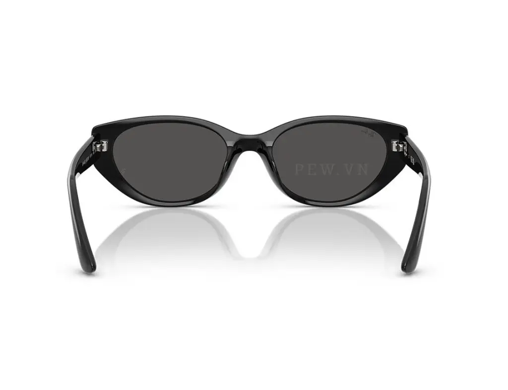 Ray-Ban RB4457D-6677/87(55)