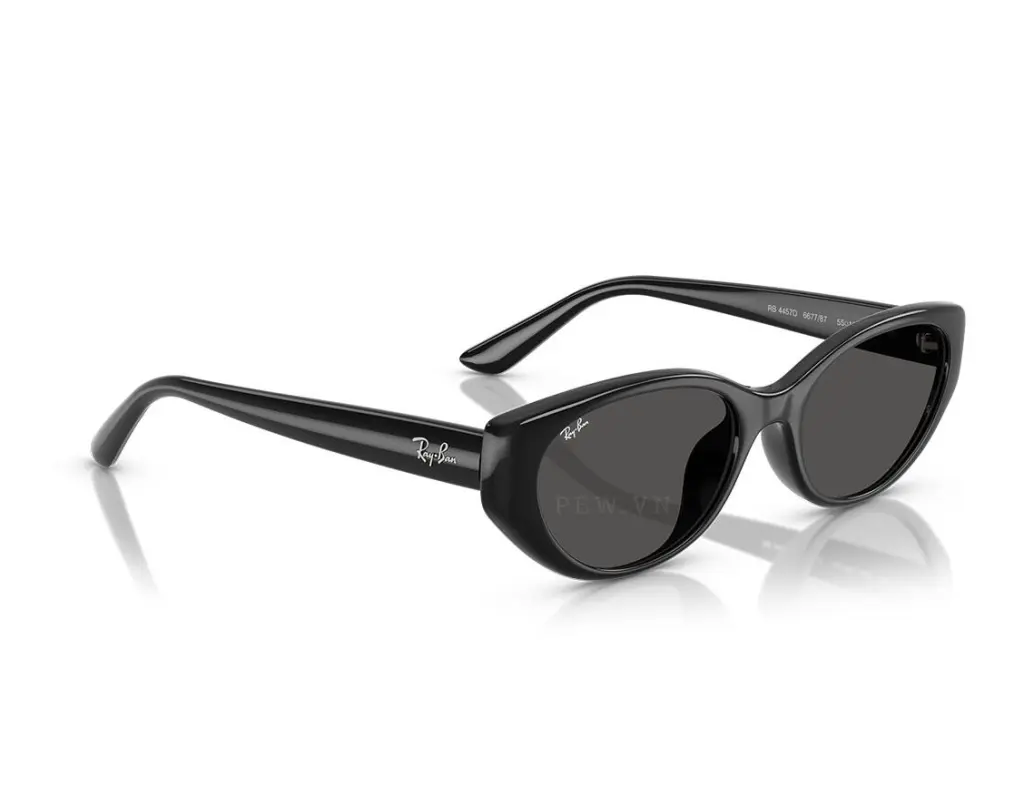 Ray-Ban RB4457D-6677/87(55)