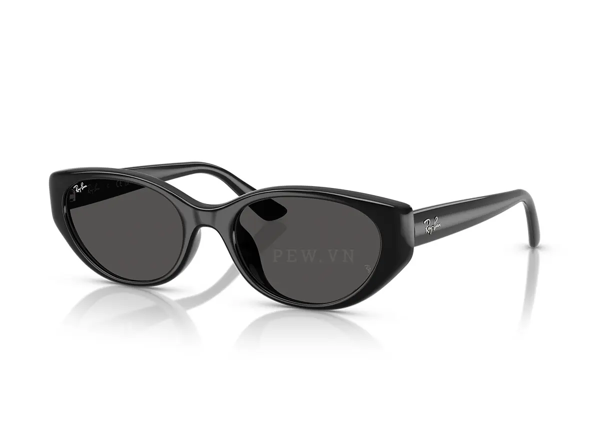 Ray-Ban RB4457D-6677/87(55)