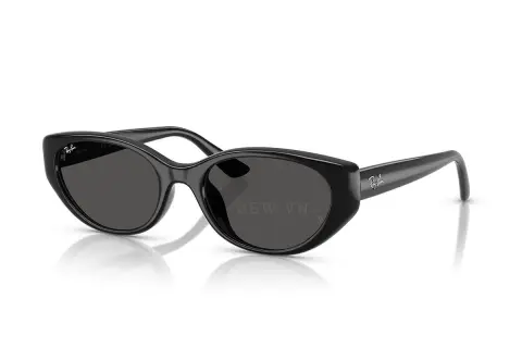 Ray-Ban RB4457D-6677/87(55)