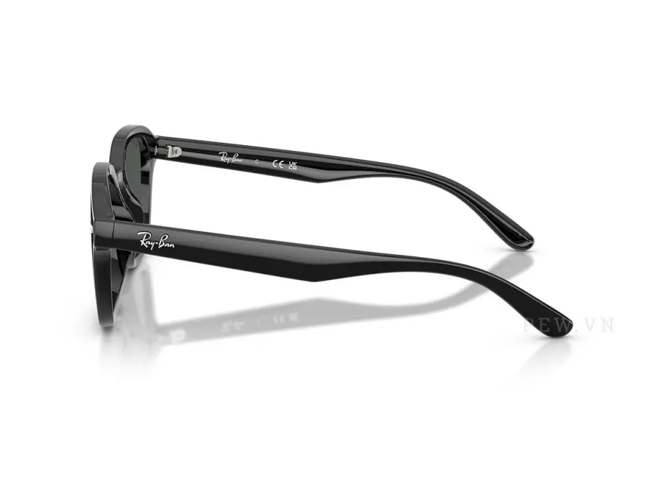 Ray-Ban RB4458D-601/87(65)