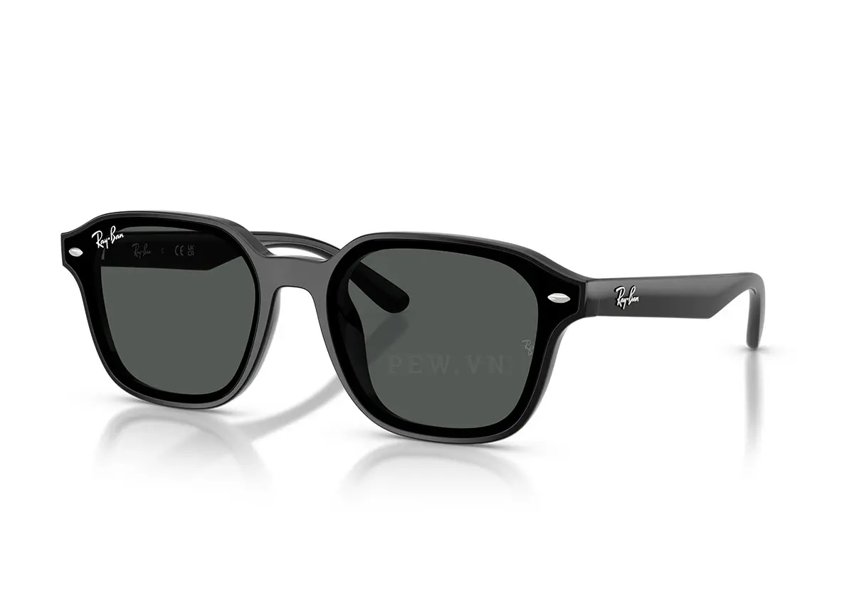 Ray-Ban RB4458D-601/87(65)