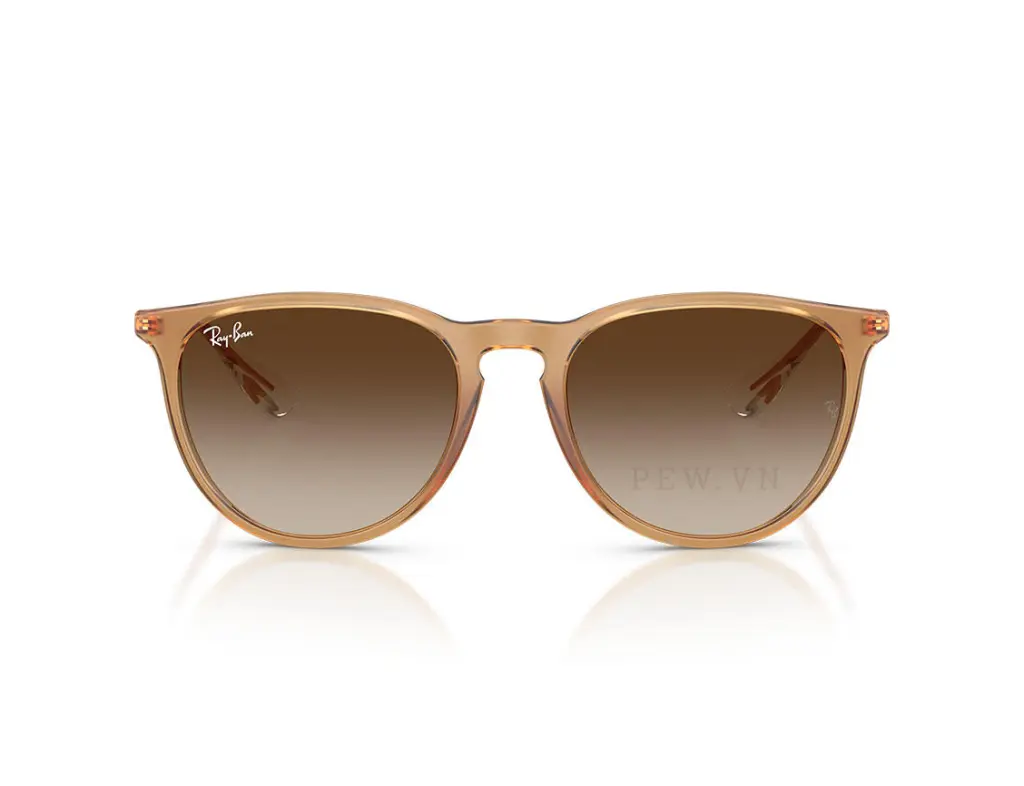 Ray-Ban Erika RB4171F-6814/13(57)