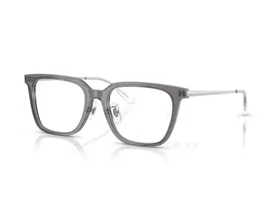 Gọng kính Ray-Ban RX5442D-8268(52)
