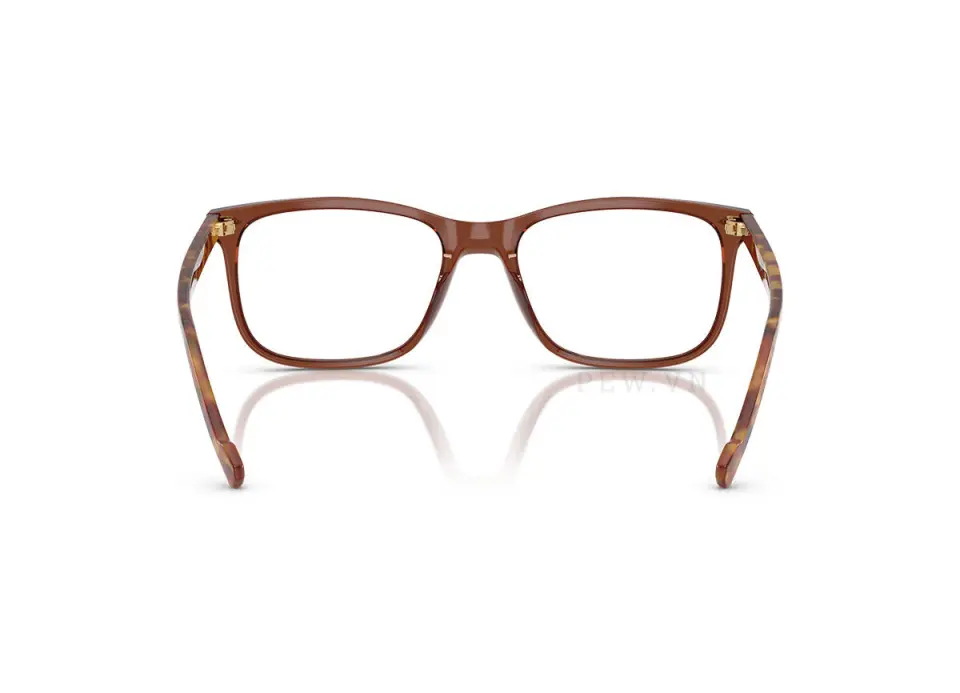 Vogue VO5617-3202(55)