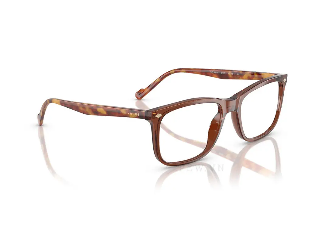 Vogue VO5617-3202(55)