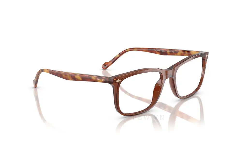 Vogue VO5617-3202(55)