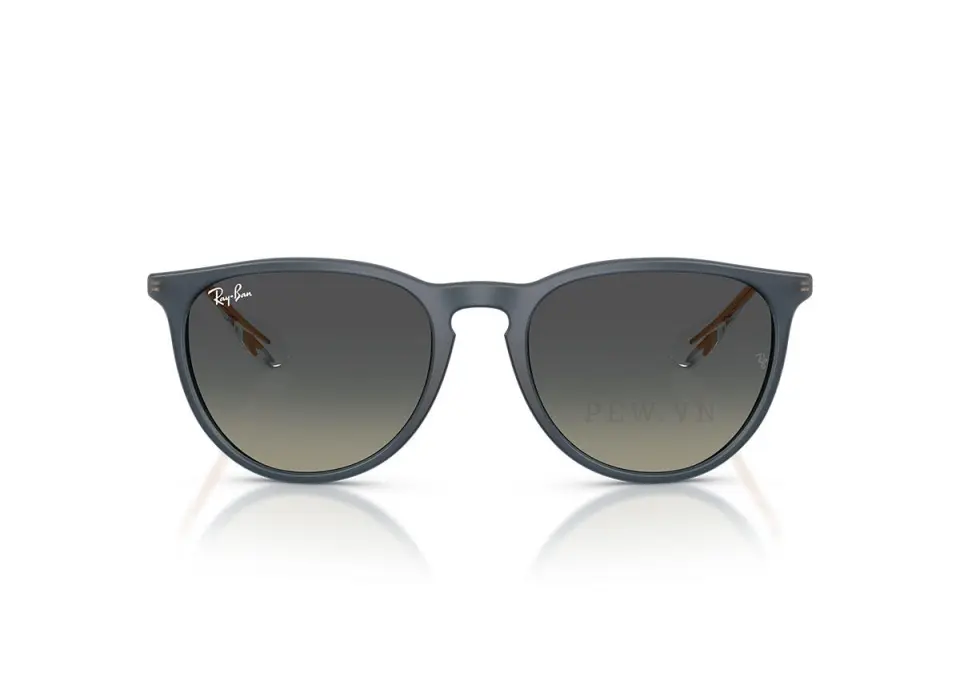 Ray-Ban Erika RB4171F-6813/11(57)