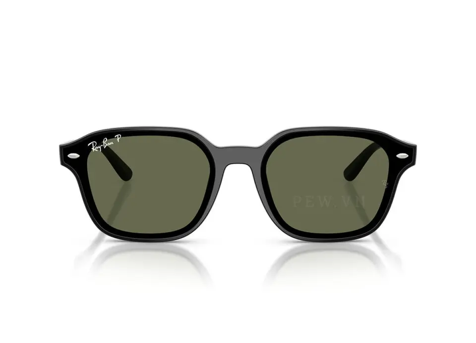 Ray-Ban RB4458D-601/9A(65)