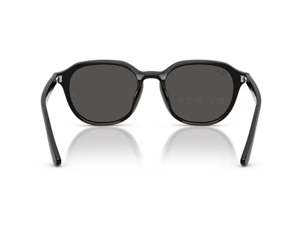 Ray-Ban RB4459D-901/87(54)