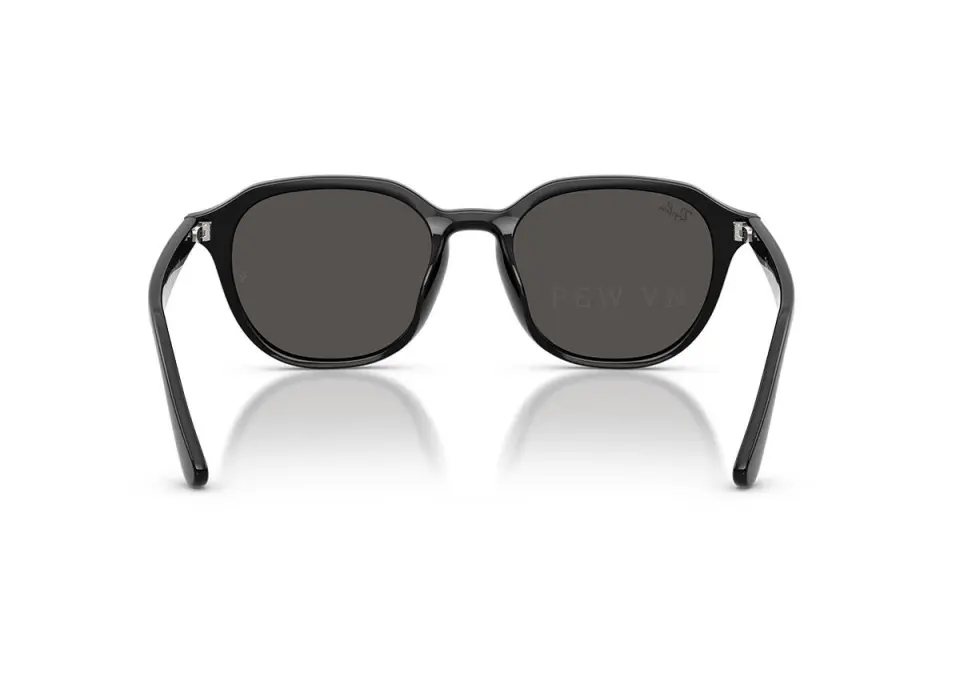 Ray-Ban RB4459D-901/87(54)