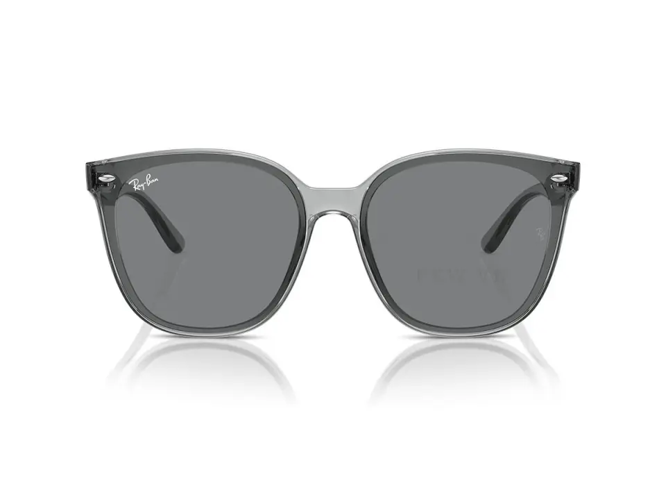 Ray-Ban RB4423D-6450/87(66)