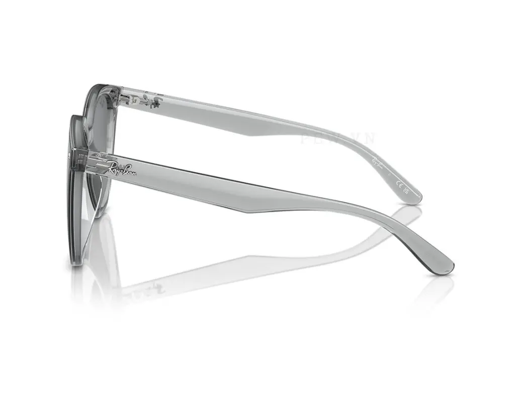 Ray-Ban RB4423D-6450/87(66)