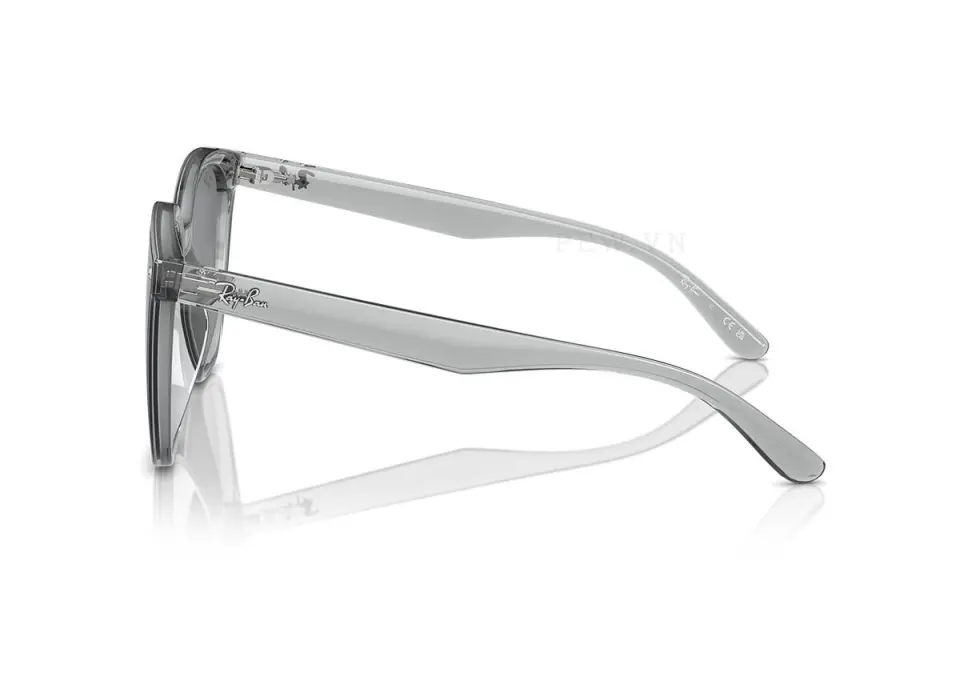 Ray-Ban RB4423D-6450/87(66)