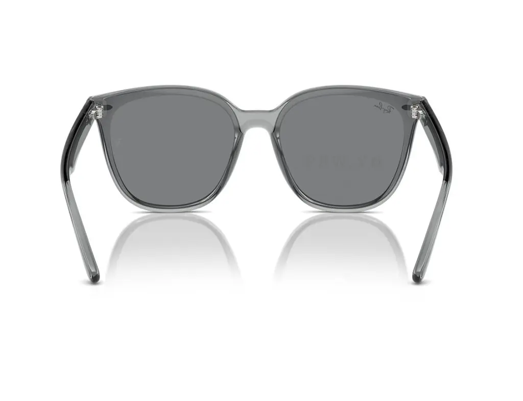 Ray-Ban RB4423D-6450/87(66)