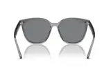 Ray-Ban RB4423D-6450/87(66)