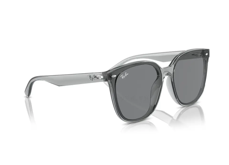 Ray-Ban RB4423D-6450/87(66)