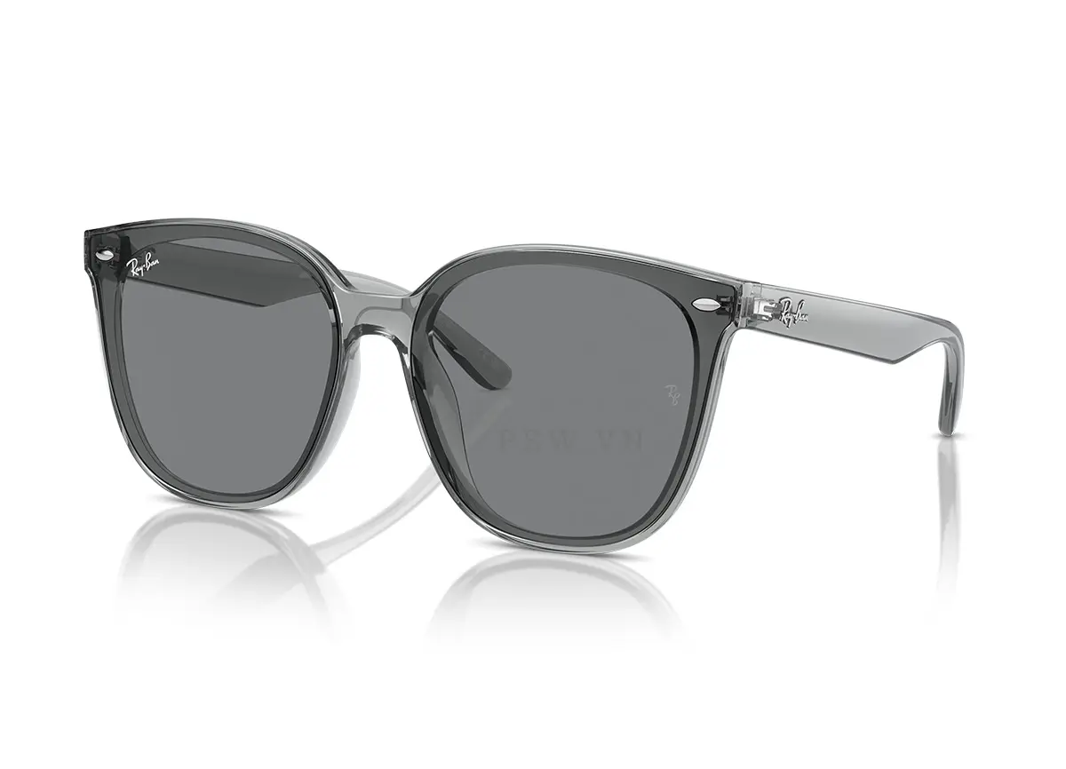 Ray-Ban RB4423D-6450/87(66)