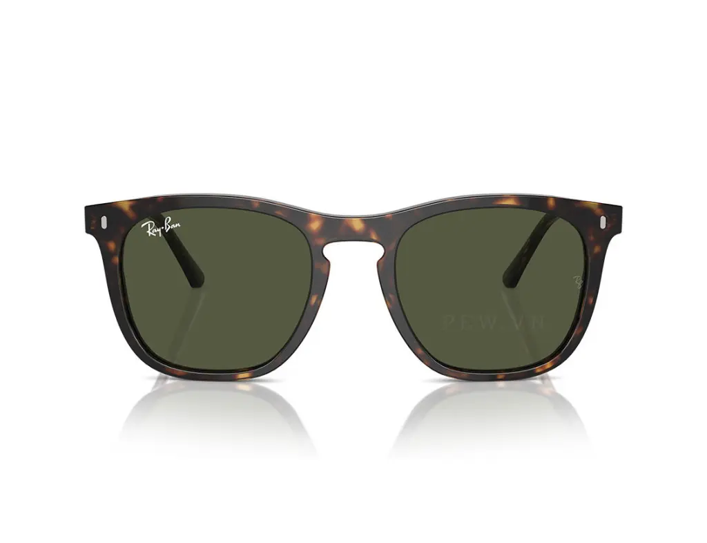 Ray-Ban RB2210F-902/31(53)