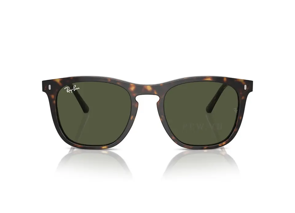 Ray-Ban RB2210F-902/31(53)
