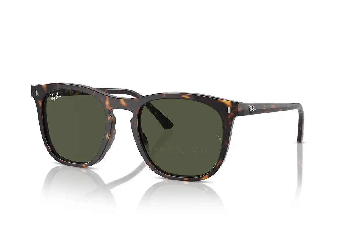 Ray-Ban RB2210F-902/31(53)