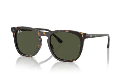 Ray-Ban RB2210F-902/31(53)