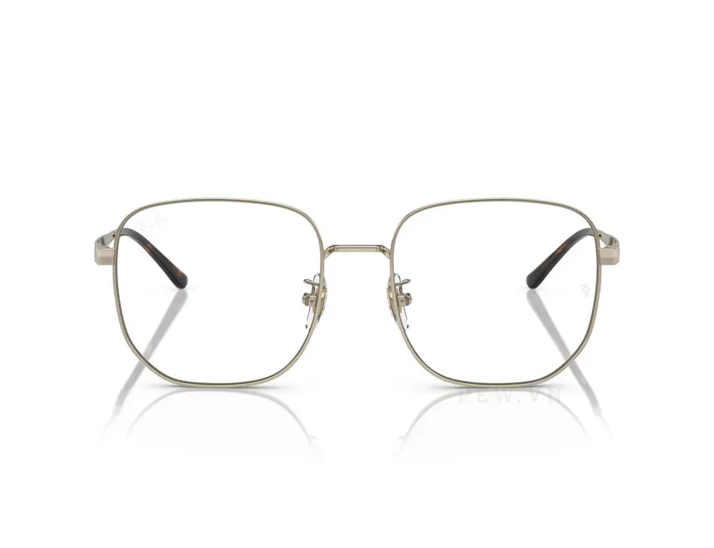 Ray-Ban RX6503D-2993(55)