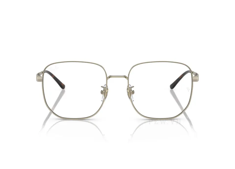 Ray-Ban RX6503D-2993(55)