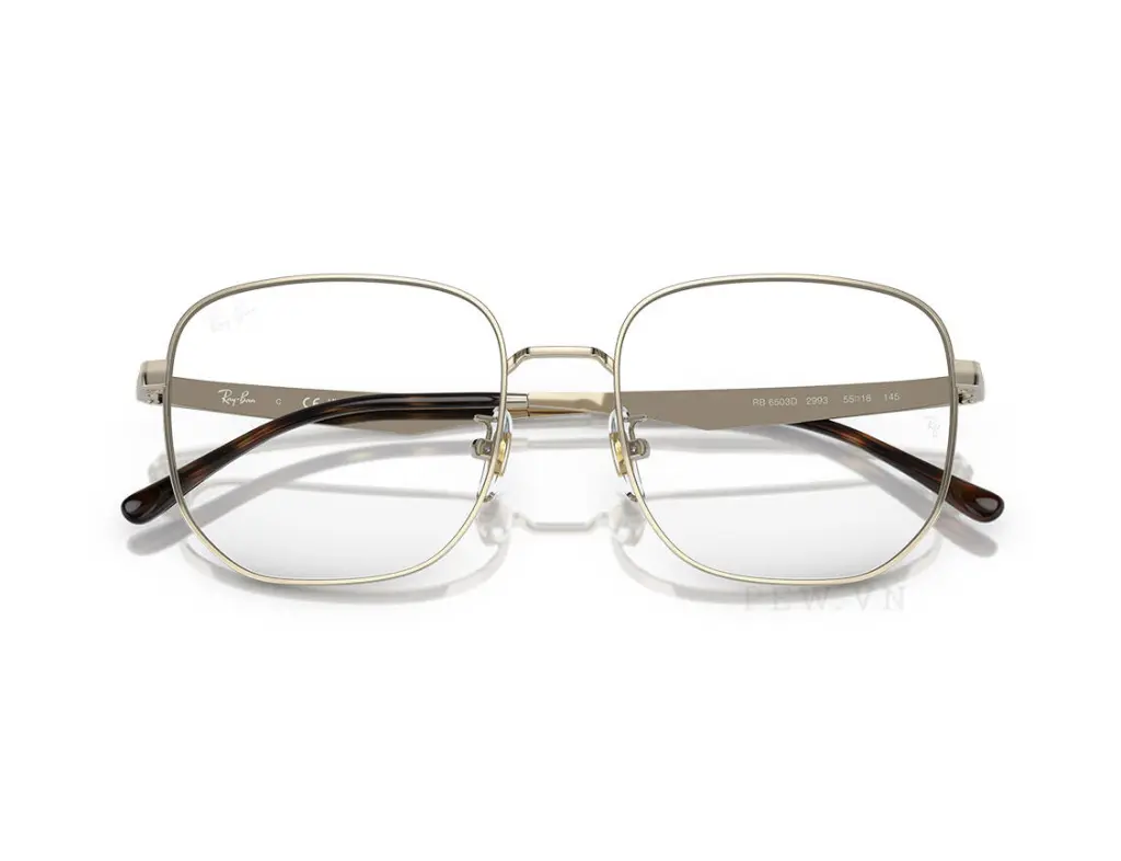 Ray-Ban RX6503D-2993(55)