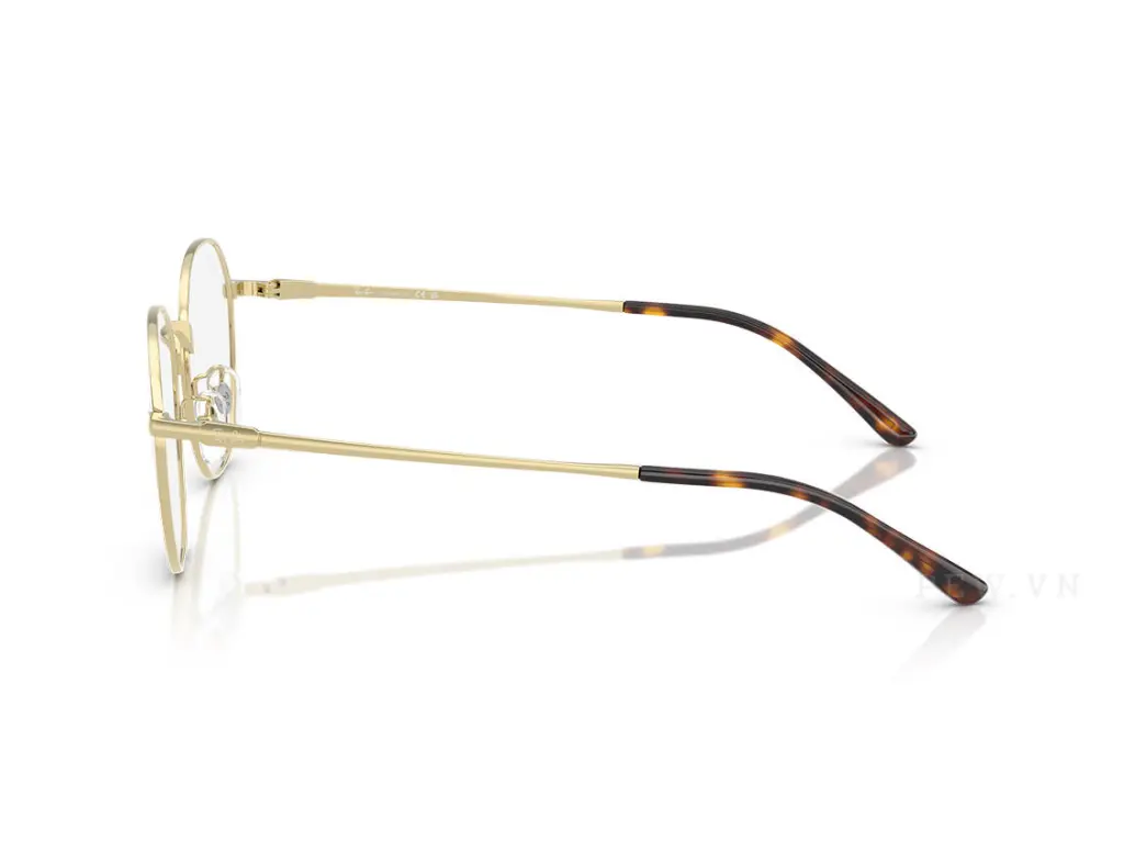 Ray-Ban RX8778D-1251(52)