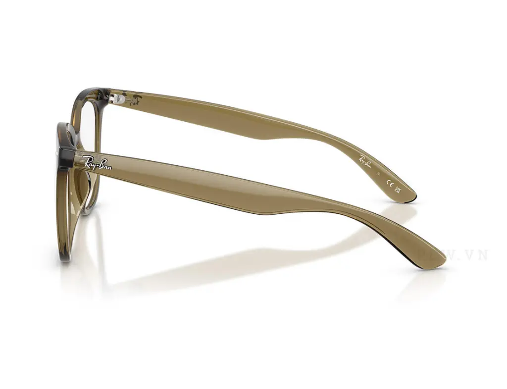 Ray-Ban RX4379VD-8445(53)