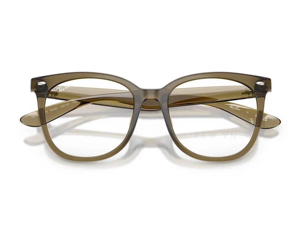 Ray-Ban RX4379VD-8445(53)