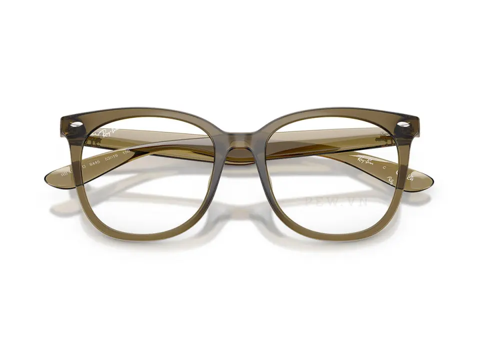 Ray-Ban RX4379VD-8445(53)