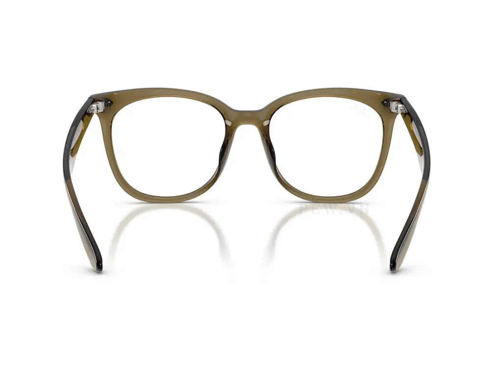 Ray-Ban RX4379VD-8445(53)