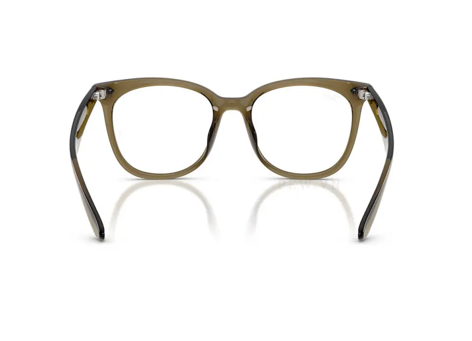 Ray-Ban RX4379VD-8445(53)