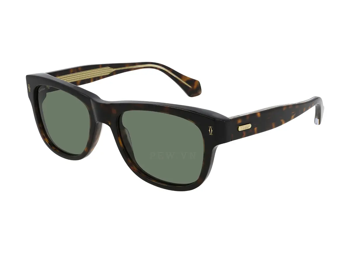 Cartier CT0277S 002 (55)