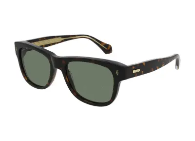 Cartier CT0277S 002 (55)