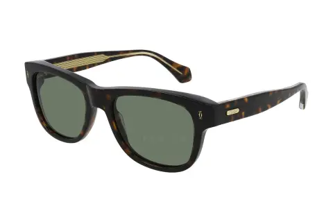 Cartier CT0277S 002 (55)