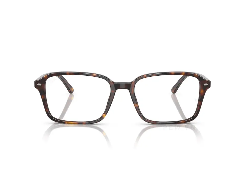 Ray-Ban Raimond RX5431F-2012(54)