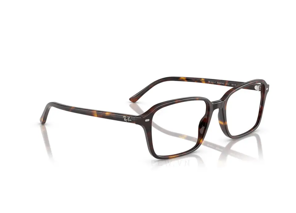 Ray-Ban Raimond RX5431F-2012(54)