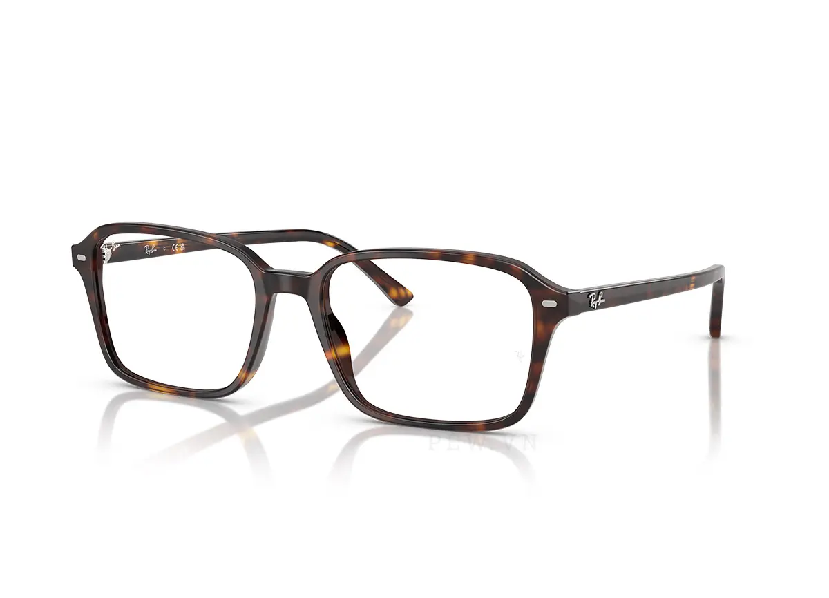 Ray-Ban Raimond RX5431F-2012(54)