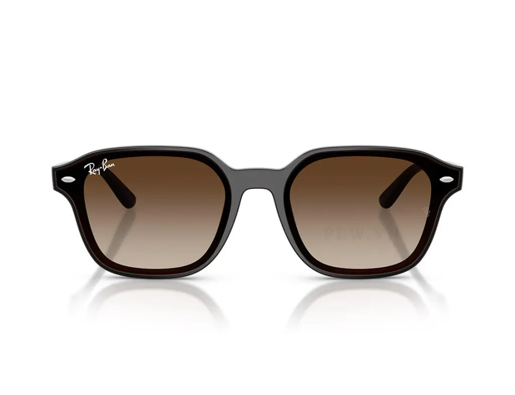 Ray-Ban RB4458D-714/13(65)
