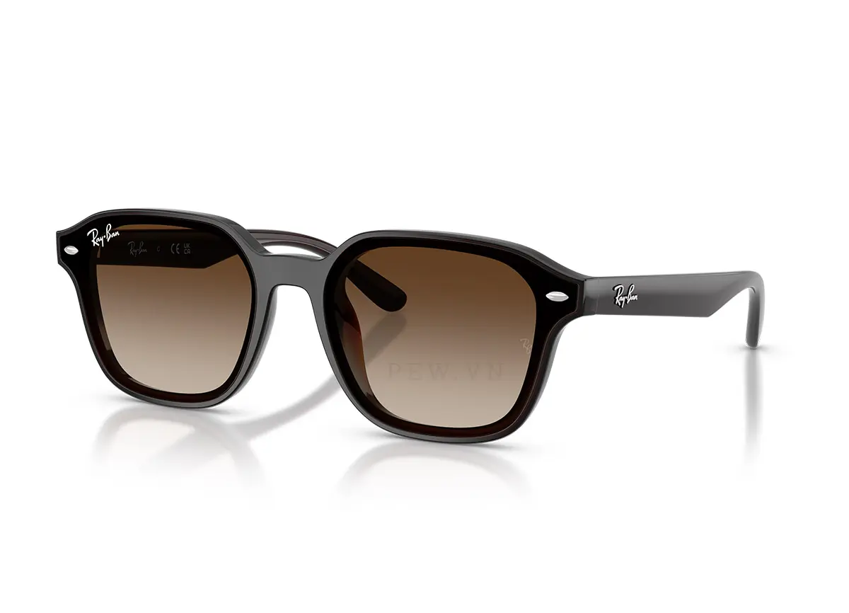 Ray-Ban RB4458D-714/13(65)