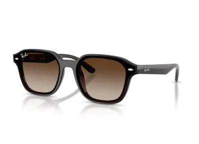 Kính mát Ray-Ban RB4458D-714/13(65)