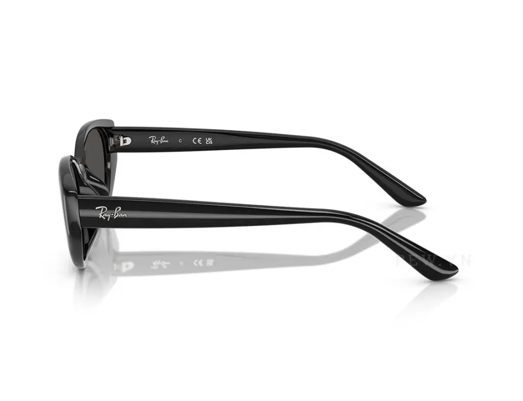 Ray-Ban RB4457D-6772/87(55)